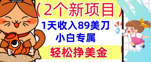 2个新项目，轻松挣美金， 1天收入89美刀，小白专属，干货分享