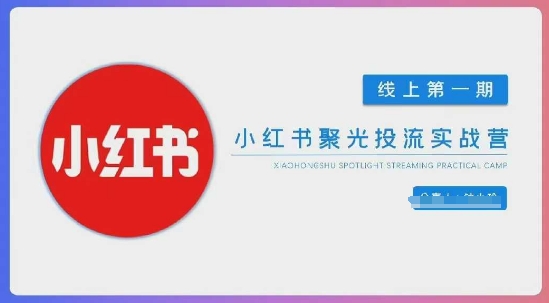 随心推爆单秘诀，短视频带货-超1个小目标的投放心得（7节视频课）